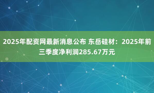 2025年配资网最新消息公布 东岳硅材：2025年前三季度净利润285.67万元